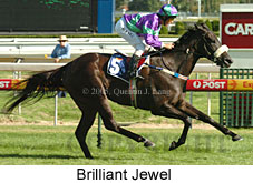 Brilliant Jewel (14772 bytes)