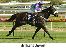 Brilliant Jewel (14772 bytes)