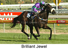 Brilliant Jewel (14772 bytes)