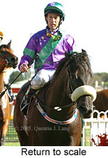 Return to scale (14008 bytes)