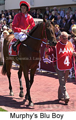 Murphy's Blu Boy (18499 bytes)