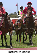 Return to scale (15919 bytes)