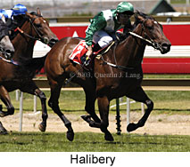 Halibery (18454 bytes)