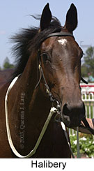 Halibery (10896 bytes)