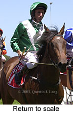 Return to scale (13582 bytes)