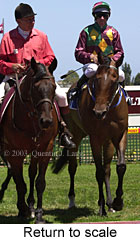 Return to scale (15391 bytes)