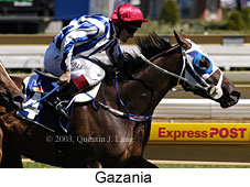 Gazania (16999 bytes)