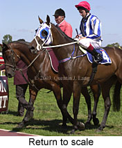 Return to scale (16449 bytes)