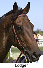 Lodger (10923 bytes)