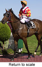 Return to scale (15433 bytes)