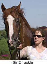 Sir Chuckle (12054 bytes)
