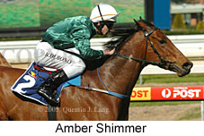 Amber Shimmer (14772 bytes)