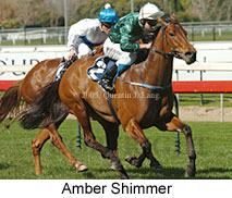 Amber Shimmer (14772 bytes)