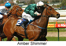 Amber Shimmer (14772 bytes)