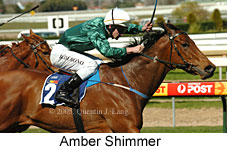 Amber Shimmer (14772 bytes)