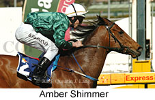 Amber Shimmer (14772 bytes)