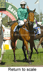 Return to scale (14008 bytes)