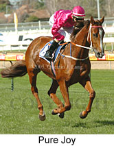 Pure Joy (14772 bytes)