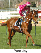 Pure Joy (14772 bytes)