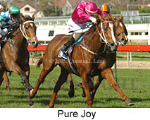 Pure Joy (14772 bytes)