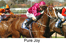 Pure Joy (14772 bytes)