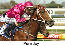 Pure Joy (14772 bytes)