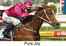 Pure Joy (14772 bytes)