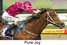 Pure Joy (14772 bytes)