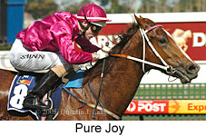 Pure Joy (14772 bytes)