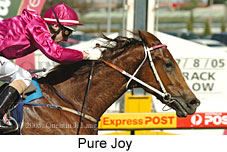 Pure Joy (14772 bytes)