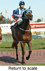 Return to scale (14008 bytes)