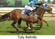 Tully Bellotto (14772 bytes)