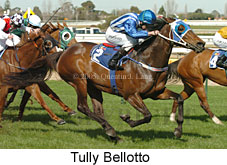 Tully Bellotto (14772 bytes)