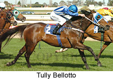 Tully Bellotto (14772 bytes)