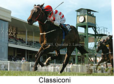 Classiconi (15213 bytes)