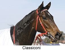 Classiconi (14772 bytes)