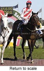 Return to scale (14008 bytes)