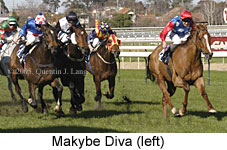 Makybe Diva (14772 bytes)