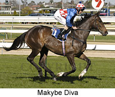 Makybe Diva (14772 bytes)