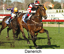 Danerich (14772 bytes)