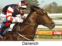 Danerich (15213 bytes)