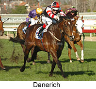 Danerich (14772 bytes)