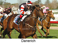 Danerich (14772 bytes)