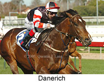 Danerich (14772 bytes)