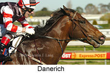 Danerich (14772 bytes)