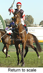 Return to scale (14008 bytes)