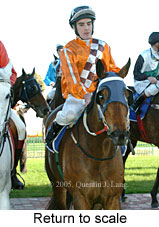 Return to scale (14008 bytes)