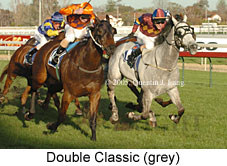 Double Classic (14772 bytes)