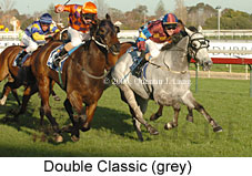 Double Classic (14772 bytes)