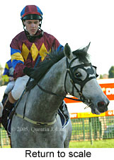 Return to scale (14008 bytes)